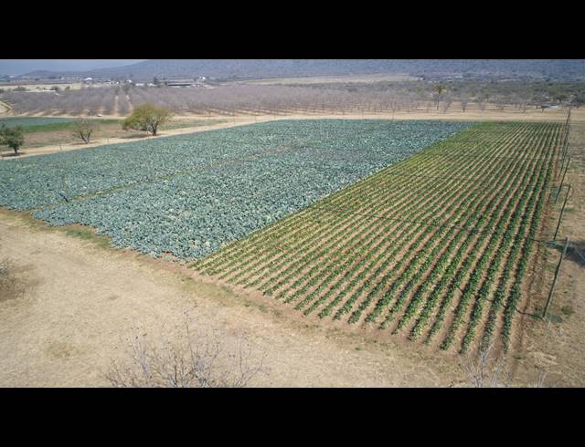 31HA FARM FOR SALE IN WEENEN